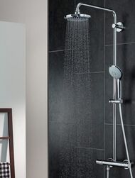 Ручной душ Grohe Euphoria 110 Massage 27221000 3 режима