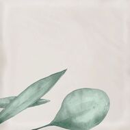 ������ ��������� Eletto Mate Decor Greens (150�150) �����, ������� 00-00108861 (��.�.)