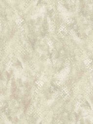 ���� ��������� �� ��������� ROBERTO CAVALLI  9 (1,06�10,05) ����������, ����� 21053 (���.)