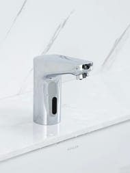 ���������  ��� �������� ��������� , FRAP ����, F513