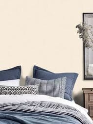 ���� ��������� �� ��������� Wiganford Teodoro (1,06�10,05) ����������, �������, WG50191 (���.)