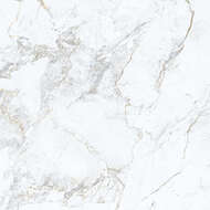   Porcelanite Dos Iguazu 1856 White Rett (10001000) ,  (..)