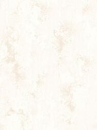 ���� ��������� �� ��������� Wiganford Milenium II (1,06�10,05) ����������, ������� AK2671 (���.)