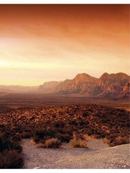  Marburg Dune 32548 (2,122,70) ,  (.)