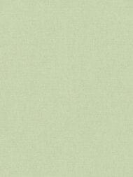 ���� ��������� �� ��������� As Creation Pacifica Deluxe (1,06�10,05) ������� 39992-2 (���.)