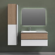 ����� ��� �������� SANCOS Delta (995x445x500) ���������, �����, 2 �����, ��� �������/����� DL100LW