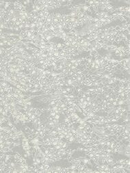 ���� ��������� �� ��������� ROBERTO CAVALLI Home 8 (1,06�10,05) �����, ����� 19034 (���.)