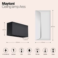 ���������� ���������� Maytoni Ares (����) O309CL-L10GF3K, 3000� 10�� IP 54, ������