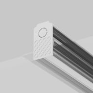 �������� � ������������� ����������� Maytoni Exility (��������) TRA034EC-42W 2 ��. �����