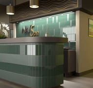 ������ ��������� EQUIPE COSTA NOVA Laurel Green Matt (50�200) ���������, �������, 28455 (��.�.)