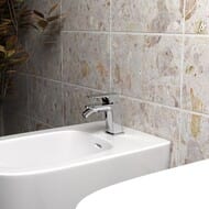    Paini Nove ,   ,  09CR304