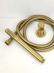 ����� ��� ���� Paini ������ ������������� 53PJ155TT