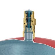 Клапан отсечной Flamco Flexfast 3/4" для быстрого подключения  расширительных баков до 25  л