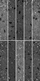     2 (3006008,5) ,    (..)