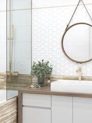 ������ ��������� Alma Ceramica Bilbao (249x500) ����� TWU09BLB010 (��.�)