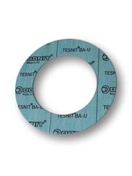 ���������� ������ DN25 TESNIT BA-25 VESI/GLUKOLI