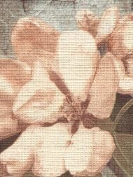 ���� ��������� �� ��������� Grandeco Wanderlust WL 2101 (0,53�10,05) �����, ������� (���.)