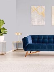���� ������������ Hygge 77 Colors C3 06 (1,00�10,05) ������� (���.)