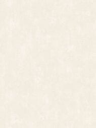 ���� ��������� �� ��������� Grandeco Universe 5 (1,06�10,05) ����������, ������� VR 1110 (���.)