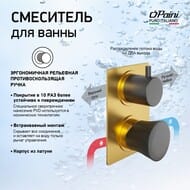   / Paini Domus , ,   PVD 18PJ691PZ