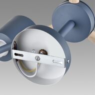 ������ �� ������ Lumion Rosalina 8098/3C, �����