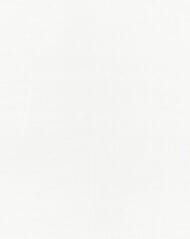 ���� ��� �������� �������������� Marburg Patent Decor Laser 9558 (1,06�25) ���������� (���.)