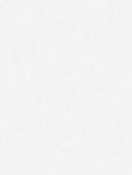 ���� ��������� �� ��������� Wall Up Bright Whisper (1.06x10.05) ���������, ������� W190001 (���.)