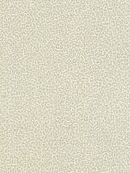 ���� ��������� �� ��������� ROBERTO CAVALLI Home 8 (1,06�10,05) �������, ������� 19018 (���.)