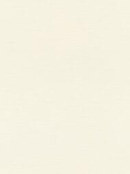     Rasch Amazing (0,5310,05)  531411 (.)