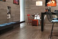 ��������������� ������ Atlas Concorde Etic Rovere Grigio (225�900) �����, AJ8H (��.�.)