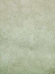 ���� ������������ Hohenberger Urban Classics (0,53�10,05) ���������, ������� 30040 (�����)