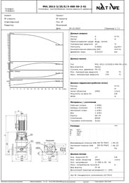   Native by WILO MVL 202-3/25/E/3-400-50-2-S1  2474345