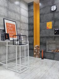 ������ ��������� ������� ��������� 1� (300�600�8,5) �����-����� (��.�.) 11 ��./���