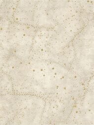 ���� ��������� �� ��������� Solo Orion (1,06�10,00) �������, ���������� A3207-5 (���.)