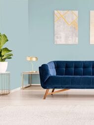 ���� ������������ Hygge 77 Colors C6 04 (1,00�10,05) ������� (���.)