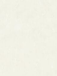 ���� ��������� �� ��������� As Creation Pacifica Deluxe (1,06�10,05) ������� 37381-5 (���.)