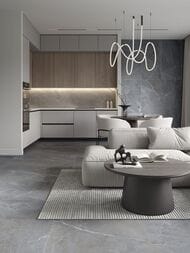 ��������������� ������ Lasselsberger ����� (600�600) �����, ��� ����� 6461-0424-1001 (��.�.)