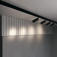 �������� ���������� Maytoni Focus Led Exility (����� ���) TR032-2-20W3K-S-B 3000K 20�� 24�, IP20, ������