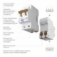 �������������� ����������� 2P 63 A C 4,5 �� Werkel W902P634