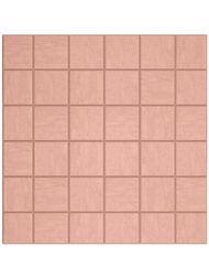 ������� ������������ Estima Spectrum Salmon SR05 5�5 (300�300) ������� (��.)