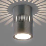 ��������� ���������� Elektrostandard DLS025, ������