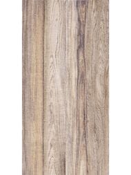 ������ ��������� Alma Ceramica Dublin (249x500) ���������� TWU09DBL404 (��.�)