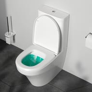 Унитаз компакт AM.PM Inspire (370х665) C508607WH универсальный выпуск