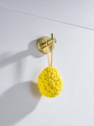    Aquatek  AQ4101BG , :  