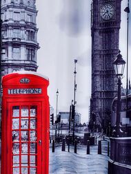      RIDDER Telephone Box + 180200 42223000