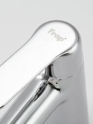 ��������� ��� �������� , FRAP ����, F1017