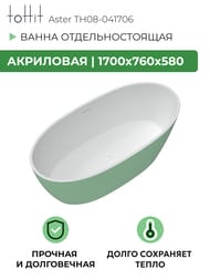    toHit Aster 1700760580,  , , TH08-041706