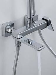 ������� ������� � ���������� �������-��������������, ������ � ������� ����� , FRAP ����, F2484