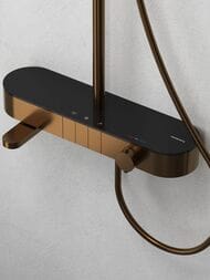 ������� ������� Abelsberg Intensa SNS52655BC � ����������� � ������ ��� ����� � ����, �������� ����