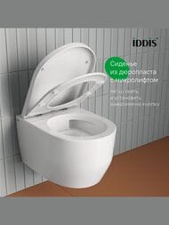     IDDIS Basic   ,   BASAI03i73